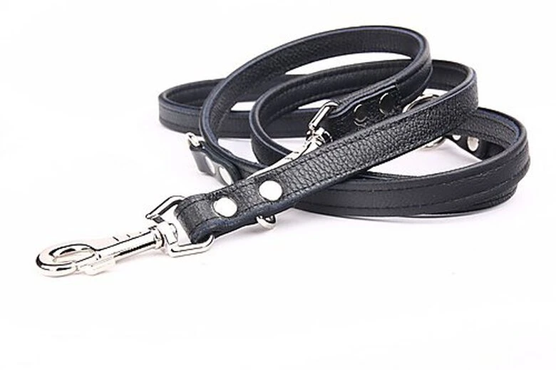 Yogipet - Laisse Ajustable 1,6/220cm Pour Chien - Noir 4 Yogipet - Laisse Ajustable 1,6/220cm Pour Chien - Noir – Image 2