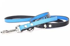 Yogipet - Laisse Ajustable 1,6/220cm Pour Chien - Bleu -Magasin De Fournitures Pour Chiens 41942