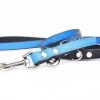 Yogipet - Laisse Ajustable 1,6/220cm Pour Chien - Bleu 2 Yogipet - Laisse Ajustable 1,6/220cm Pour Chien - Bleu -Magasin De Fournitures Pour Chiens 41943
