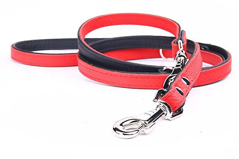 Yogipet - Laisse Ajustable 2/220cm Pour Chien - Rouge 3 Yogipet - Laisse Ajustable 2/220cm Pour Chien - Rouge