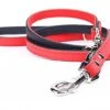 Yogipet - Laisse Ajustable 1,6/220cm Pour Chien - Rouge -Magasin De Fournitures Pour Chiens 41945