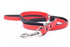 Yogipet - Laisse Ajustable 2/220cm Pour Chien - Rouge 9 Yogipet - Laisse Ajustable 2/220cm Pour Chien - Rouge -Magasin De Fournitures Pour Chiens 41946 1