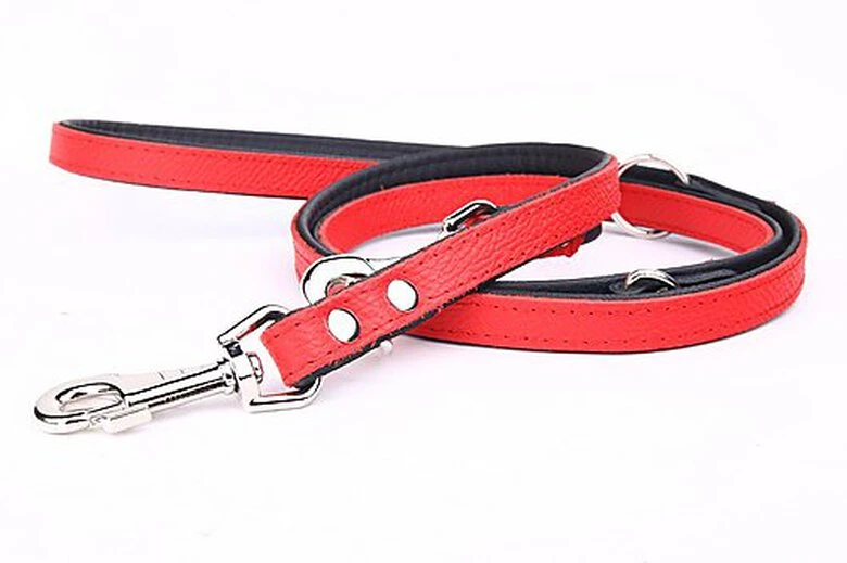Yogipet - Laisse Ajustable 2/220cm Pour Chien - Rouge 7 Yogipet - Laisse Ajustable 2/220cm Pour Chien - Rouge – Image 5