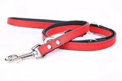 Yogipet - Laisse Ajustable 1,6/220cm Pour Chien - Rouge 11 Yogipet - Laisse Ajustable 1,6/220cm Pour Chien - Rouge -Magasin De Fournitures Pour Chiens 41947