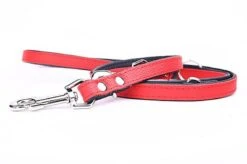Yogipet - Laisse Ajustable 2/220cm Pour Chien - Rouge 10 Yogipet - Laisse Ajustable 2/220cm Pour Chien - Rouge -Magasin De Fournitures Pour Chiens 41948 1