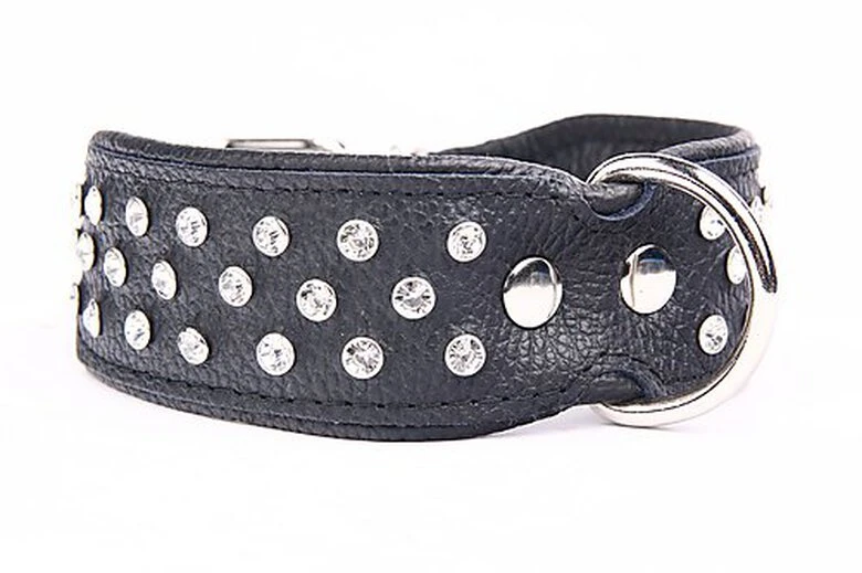 Yogipet - Collier Crystal Déco Pour Chien - Noir 3 Yogipet - Collier Crystal Déco Pour Chien - Noir