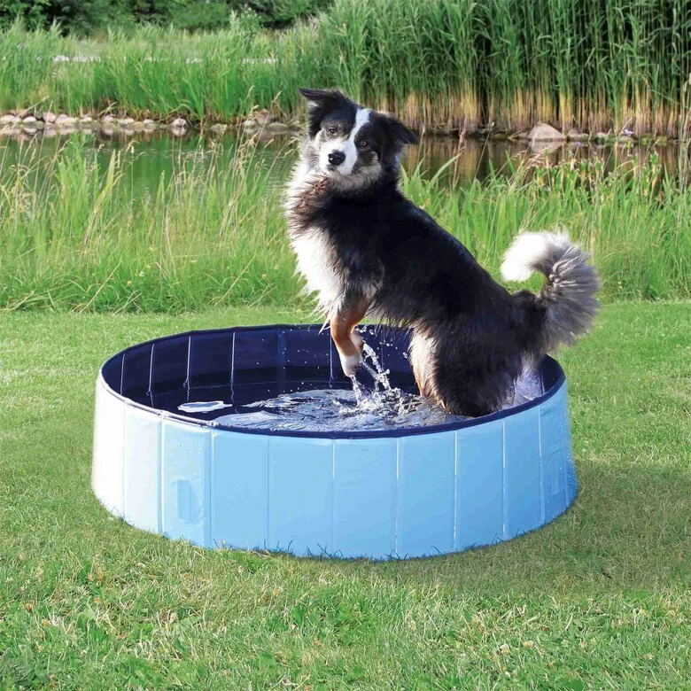Trixie - Piscine Bleu Pour Chien - 160 × 30 Cm 4 Trixie - Piscine Bleu Pour Chien - 160 × 30 Cm – Image 2