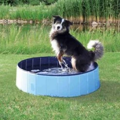 Trixie - Piscine Bleu Pour Chien - 80 × 20 Cm 6 Trixie - Piscine Bleu Pour Chien - 80 × 20 Cm -Magasin De Fournitures Pour Chiens 42797 2