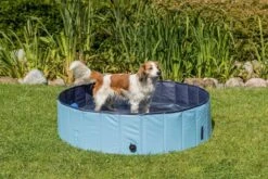 Trixie - Piscine Bleu Pour Chien - 80 × 20 Cm 7 Trixie - Piscine Bleu Pour Chien - 80 × 20 Cm -Magasin De Fournitures Pour Chiens 42803 2