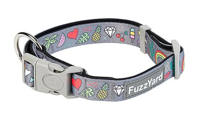 FuzzYard - Collier Coachella Pour Chien - L 3 FuzzYard - Collier Coachella Pour Chien - L