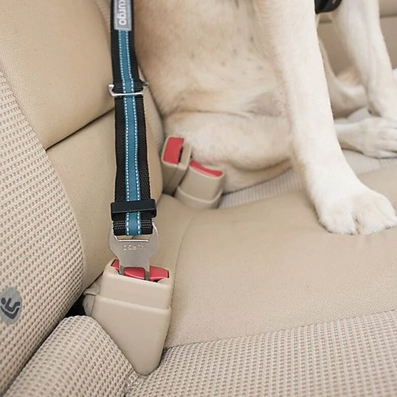 Kurgo - Attache Sécurité Direct Seat-belt Voiture Pour Chien - Bleu 4 Kurgo - Attache Sécurité Direct Seat-belt Voiture Pour Chien - Bleu – Image 2