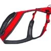Kyflie - Harnais OTIUM Canicross De Traction Pour Chien T5 - Rouge 2 Kyflie - Harnais OTIUM Canicross De Traction Pour Chien T5 - Rouge -Magasin De Fournitures Pour Chiens 43408