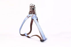 Nouveaux produits -Magasin De Fournitures Pour Chiens 46313