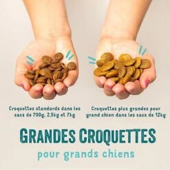 Edgard & Cooper - Croquettes Au Saumon Pour Chien - 7Kg -Magasin De Fournitures Pour Chiens 46570