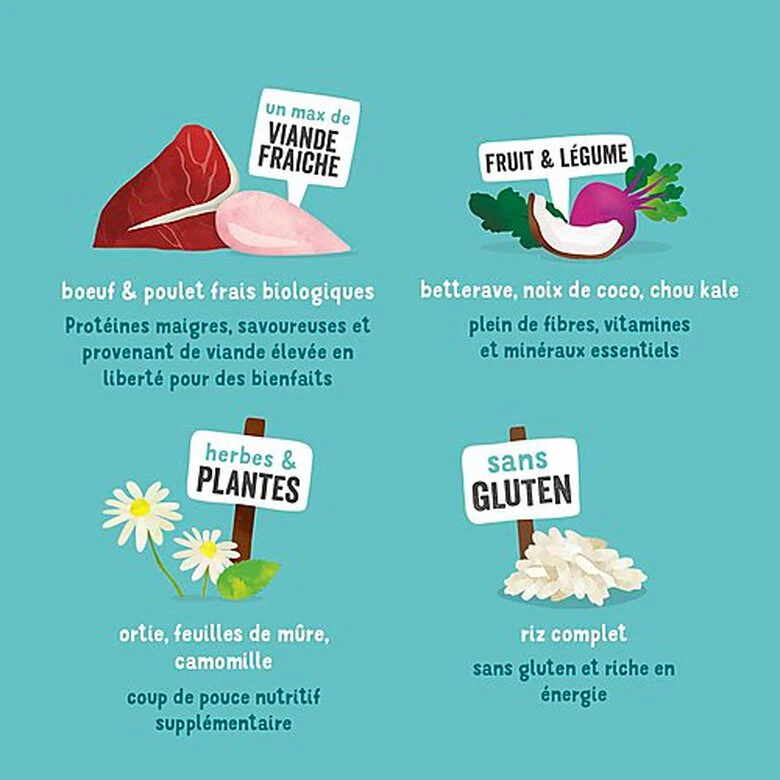 Edgard & Cooper - Croquettes BIO Au Bœuf Et Poulet Pour Chien - 7Kg 6 Edgard & Cooper - Croquettes BIO Au Bœuf Et Poulet Pour Chien - 7Kg – Image 4