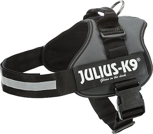 Julius K9 Julius-K9 - Harnais L Pour Chien - Anthracite 3 Julius K9 Julius-K9 - Harnais L Pour Chien - Anthracite