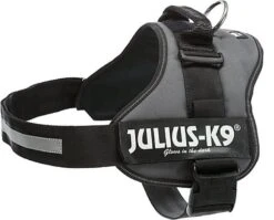 Julius K9 Julius-K9 - Harnais XXL Pour Chien - Anthracite