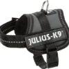 Julius K9 Julius-K9 - Harnais Baby 1 XS De 29-36cm Pour Chien - Anthracite 1 Julius K9 Julius-K9 - Harnais Baby 1 XS De 29-36cm Pour Chien - Anthracite -Magasin De Fournitures Pour Chiens 47804
