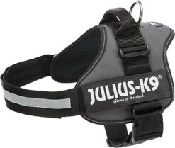 Julius K9 Julius-K9 - Harnais XL Pour Chien - Anthracite