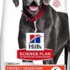 Hill's Science Plan - Croquettes Adulte Large Breed Perfect Digestion Au Poulet Pour Chien - 12Kg -Magasin De Fournitures Pour Chiens 63645