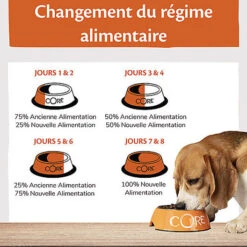 Wellness CORE - Croquettes Light à La Dinde Pour Chien - 10Kg -Magasin De Fournitures Pour Chiens 64102