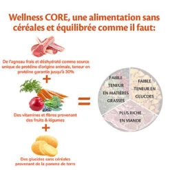 Wellness CORE - Croquettes à L'Agneau Pour Chien De Toutes Races - 10Kg 11 Wellness CORE - Croquettes à L'Agneau Pour Chien De Toutes Races - 10Kg -Magasin De Fournitures Pour Chiens 64202