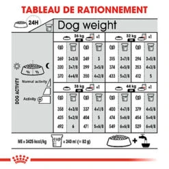 Royal Canin - Croquettes Maxi Adult Sterilised Pour Chien - 12Kg -Magasin De Fournitures Pour Chiens 64781