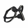 Comme Un Roi - Harnais Bulldog Cuir So Chic Noir Pour Chien - S -Magasin De Fournitures Pour Chiens 64916 2