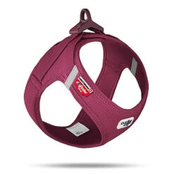 Curli - Harnais Veste Boucle Curli Clasp Ruby Pour Chien - XXS