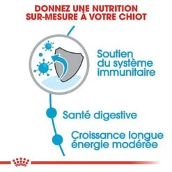 Royal Canin - Croquettes Maxi Puppy Pour Chiot -Magasin De Fournitures Pour Chiens 66815