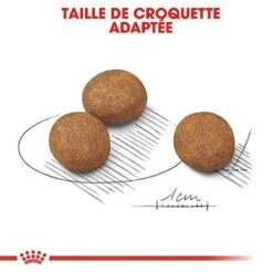 Royal Canin - Croquettes Maxi Puppy Pour Chiot -Magasin De Fournitures Pour Chiens 66817