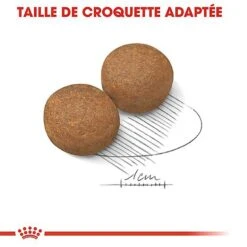 Royal Canin - Croquettes Maxi Adult Pour Chien -Magasin De Fournitures Pour Chiens 66830