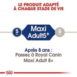 Royal Canin - Croquettes Maxi Adulte 5+ Pour Chien Adulte - 15Kg -Magasin De Fournitures Pour Chiens 66835