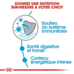 Royal Canin - Croquettes Puppy X-Small Pour Chiot De Petite Taille - 1,5Kg 11 Royal Canin - Croquettes Puppy X-Small Pour Chiot De Petite Taille - 1,5Kg -Magasin De Fournitures Pour Chiens 66877