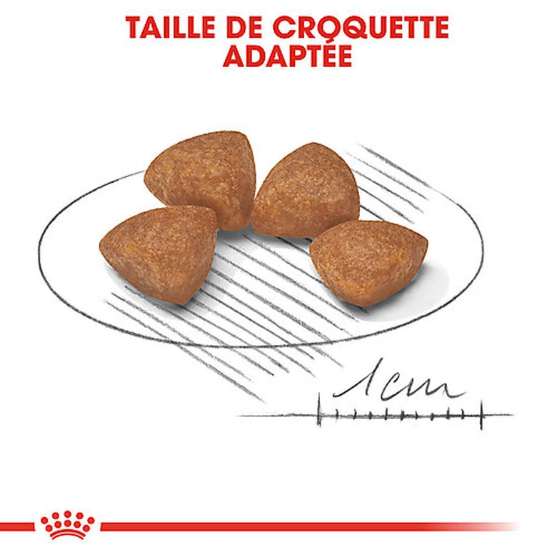 Royal Canin - Croquettes Puppy X-Small Pour Chiot De Petite Taille - 1,5Kg 7 Royal Canin - Croquettes Puppy X-Small Pour Chiot De Petite Taille - 1,5Kg – Image 5