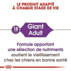 Royal Canin - Croquettes Giant Adult Pour Chien - 15Kg 11 Royal Canin - Croquettes Giant Adult Pour Chien - 15Kg -Magasin De Fournitures Pour Chiens 66952