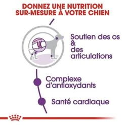 Royal Canin - Croquettes Giant Adult Pour Chien - 15Kg 12 Royal Canin - Croquettes Giant Adult Pour Chien - 15Kg -Magasin De Fournitures Pour Chiens 66953