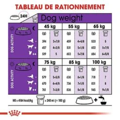 Royal Canin - Croquettes Giant Adult Pour Chien - 15Kg 14 Royal Canin - Croquettes Giant Adult Pour Chien - 15Kg -Magasin De Fournitures Pour Chiens 66955