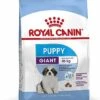 Royal Canin - Croquettes Giant Puppy Pour Chiot - 15Kg -Magasin De Fournitures Pour Chiens 66957