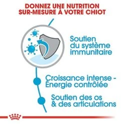 Royal Canin - Croquettes Giant Puppy Pour Chiot - 15Kg 10 Royal Canin - Croquettes Giant Puppy Pour Chiot - 15Kg -Magasin De Fournitures Pour Chiens 66960