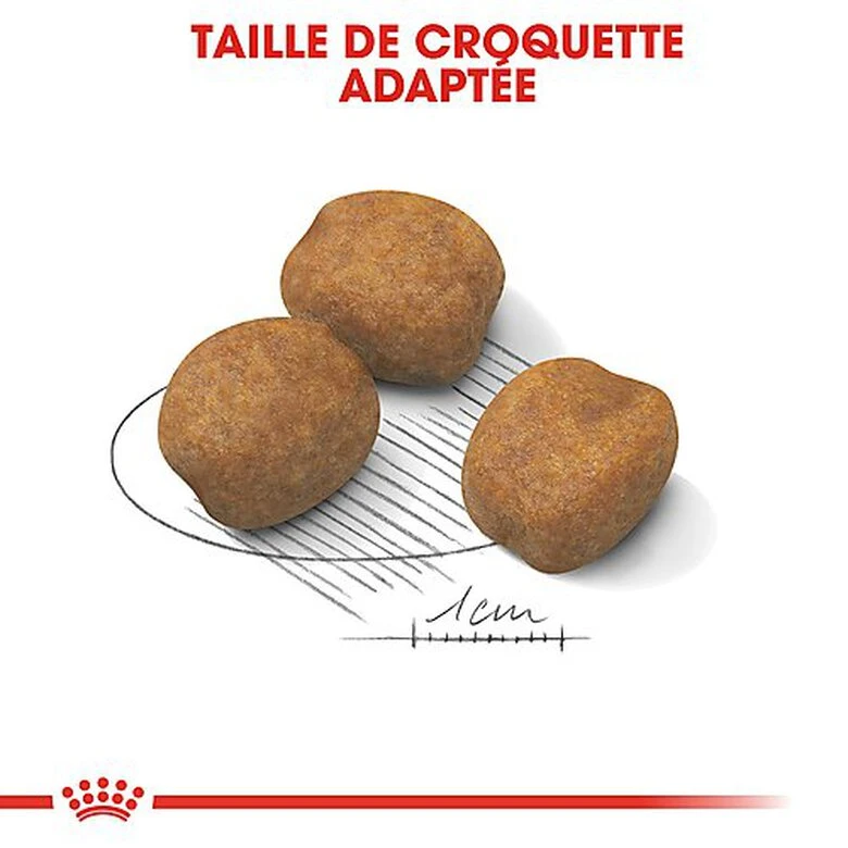 Royal Canin - Croquettes Giant Puppy Pour Chiot - 15Kg 7 Royal Canin - Croquettes Giant Puppy Pour Chiot - 15Kg – Image 5