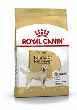 Nouveaux produits 14 Royal Canin - Croquettes Labrador Pour Chien Adulte