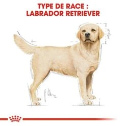 Nouveaux produits -Magasin De Fournitures Pour Chiens 67029