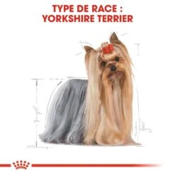 Royal Canin - Croquettes Yorkshire Terrier Pour Chien Adulte -Magasin De Fournitures Pour Chiens 67075