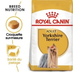 Royal Canin - Croquettes Yorkshire Terrier Pour Chien Adulte -Magasin De Fournitures Pour Chiens 67077