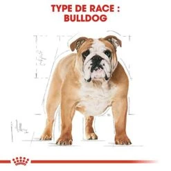Royal Canin - Croquettes Bulldog Pour Chien Adulte 10 Royal Canin - Croquettes Bulldog Pour Chien Adulte -Magasin De Fournitures Pour Chiens 67118