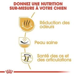 Royal Canin - Croquettes Bulldog Pour Chien Adulte 13 Royal Canin - Croquettes Bulldog Pour Chien Adulte -Magasin De Fournitures Pour Chiens 67121