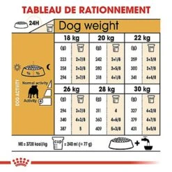 Royal Canin - Croquettes Bulldog Pour Chien Adulte 14 Royal Canin - Croquettes Bulldog Pour Chien Adulte -Magasin De Fournitures Pour Chiens 67122