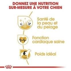 Royal Canin - Croquettes Golden Retriever Pour Chien Adulte 13 Royal Canin - Croquettes Golden Retriever Pour Chien Adulte -Magasin De Fournitures Pour Chiens 67282