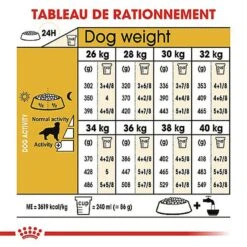 Royal Canin - Croquettes Golden Retriever Pour Chien Adulte 14 Royal Canin - Croquettes Golden Retriever Pour Chien Adulte -Magasin De Fournitures Pour Chiens 67283